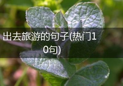 出去旅游的句子(热门10句)