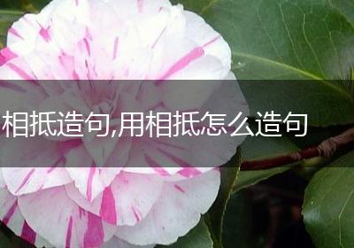 相抵造句,用相抵怎么造句