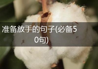 准备放手的句子(必备50句)