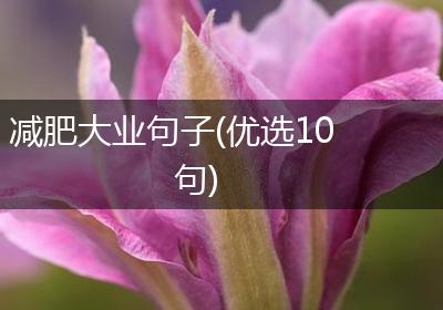 减肥大业句子(优选10句)