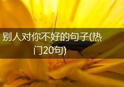 别人对你不好的句子(热门20句)