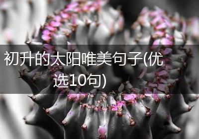 初升的太阳唯美句子(优选10句)