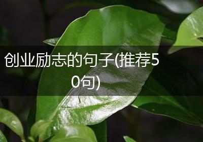 创业励志的句子(推荐50句)