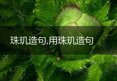 珠玑造句,用珠玑造句