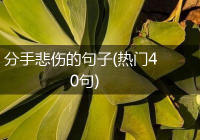 分手悲伤的句子(热门40句)