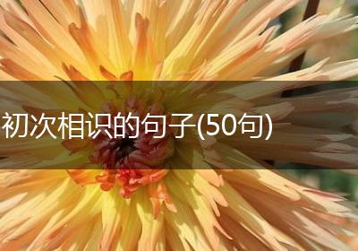 初次相识的句子(50句)