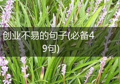 创业不易的句子(必备49句)
