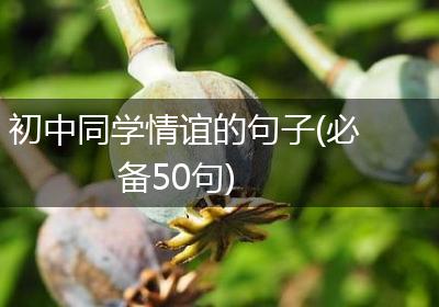 初中同学情谊的句子(必备50句)