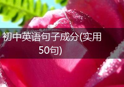 初中英语句子成分(实用50句)