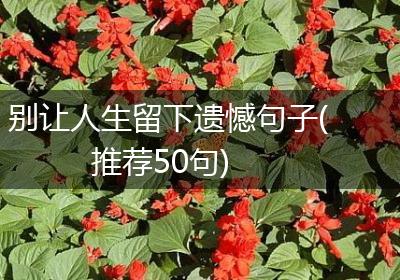 别让人生留下遗憾句子(推荐50句)