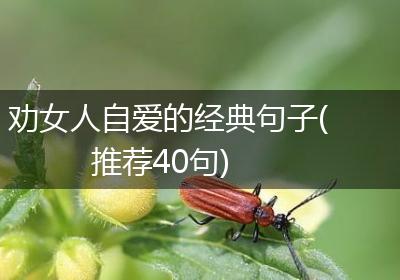 劝女人自爱的经典句子(推荐40句)
