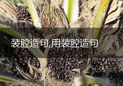 装腔造句,用装腔造句