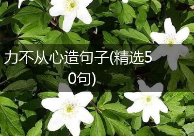 力不从心造句子(精选50句)