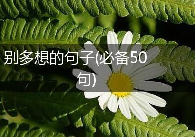 别多想的句子(必备50句)