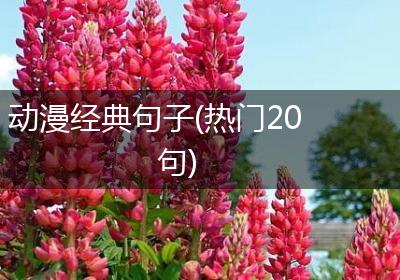 动漫经典句子(热门20句)