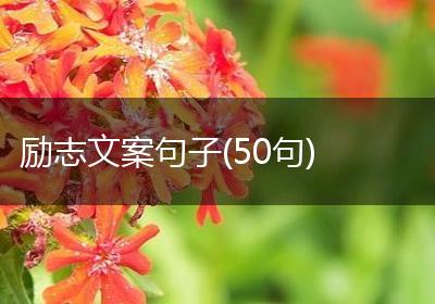 励志文案句子(50句)