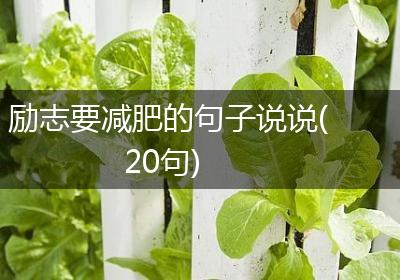 励志要减肥的句子说说(20句)