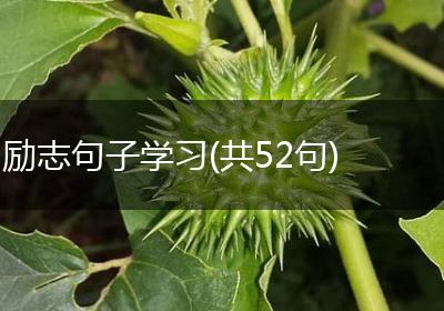 励志句子学习(共52句)