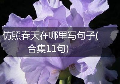 仿照春天在哪里写句子(合集11句)