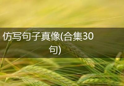 仿写句子真像(合集30句)