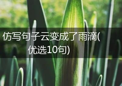 仿写句子云变成了雨滴(优选10句)
