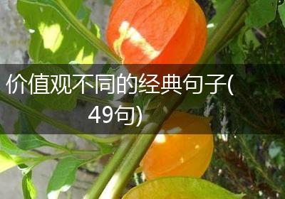 价值观不同的经典句子(49句)
