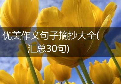 优美作文句子摘抄大全(汇总30句)
