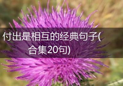 付出是相互的经典句子(合集20句)