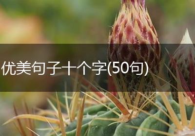 优美句子十个字(50句)