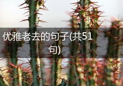 优雅老去的句子(共51句)