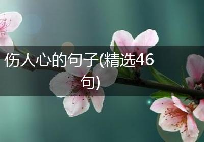 伤人心的句子(精选46句)