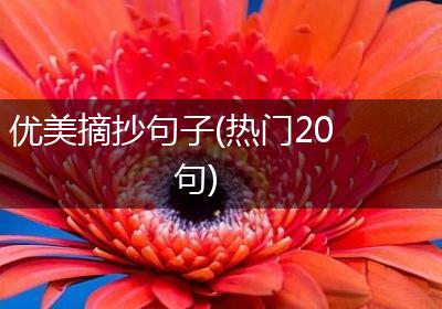 优美摘抄句子(热门20句)