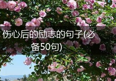 伤心后的励志的句子(必备50句)