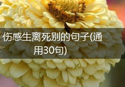 伤感生离死别的句子(通用30句)