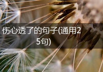 伤心透了的句子(通用25句)