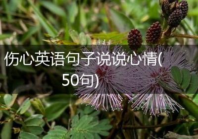伤心英语句子说说心情(50句)