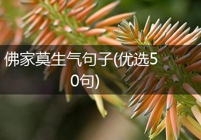 佛家莫生气句子(优选50句)