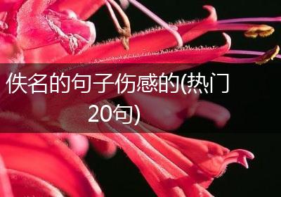 佚名的句子伤感的(热门20句)