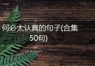 何必太认真的句子(合集50句)