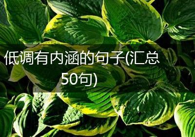 低调有内涵的句子(汇总50句)