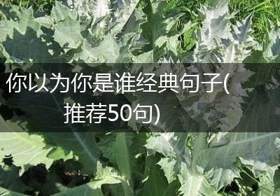 你以为你是谁经典句子(推荐50句)