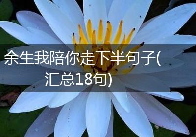 余生我陪你走下半句子(汇总18句)