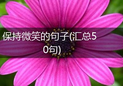 保持微笑的句子(汇总50句)