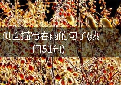 侧面描写春雨的句子(热门51句)