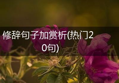 修辞句子加赏析(热门20句)