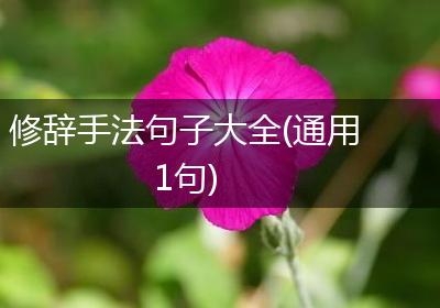 修辞手法句子大全(通用1句)