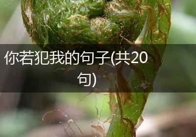 你若犯我的句子(共20句)