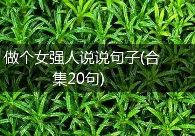 做个女强人说说句子(合集20句)