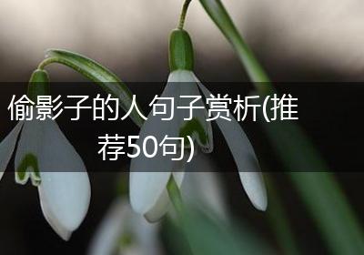 偷影子的人句子赏析(推荐50句)