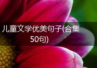 儿童文学优美句子(合集50句)